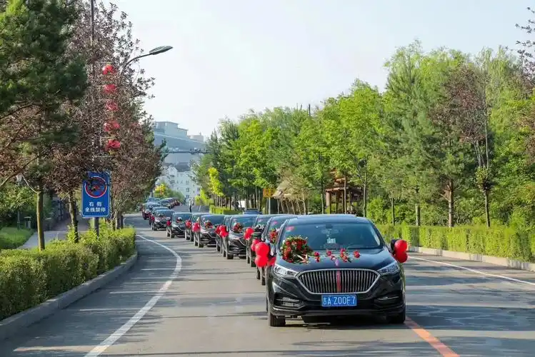 2020年红旗车队参加驰援武汉医疗队员集团婚礼工作照1