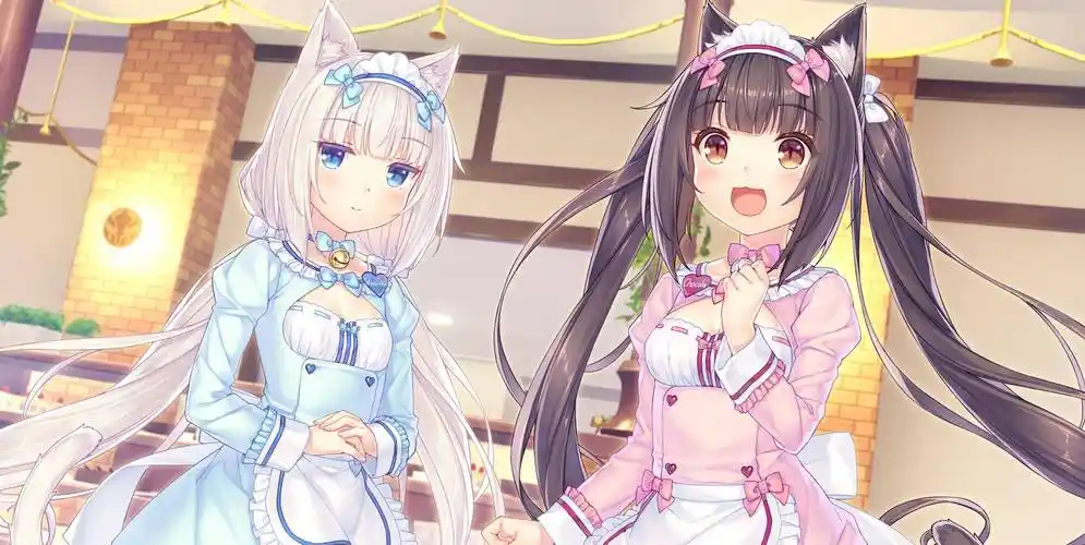 对猫情有独钟的日本人走上了不归路,让人心动的二次元猫娘_角色_观众