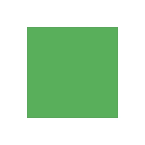 绿色寸照照黑色蓝色影楼抠图摄影背景纸背景布白色纯色拍照翠绿色08x