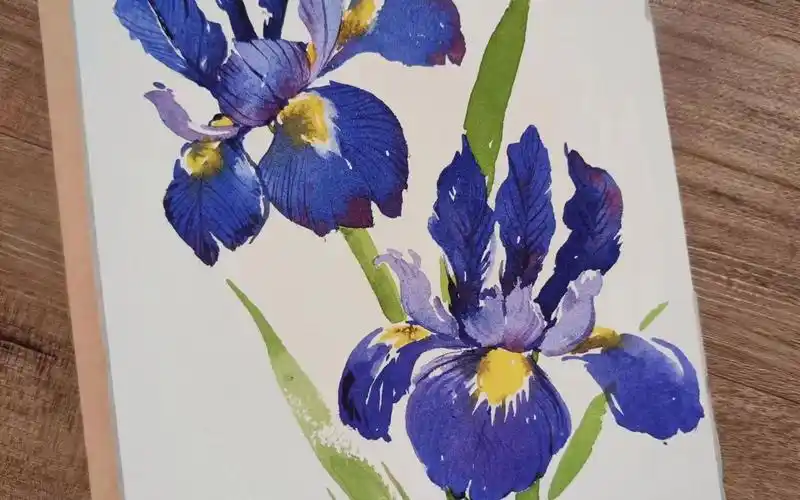 11月25日苏薇萍老师绘画课 脱稿水彩花卉 - 鸢尾花 iris