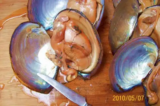 教大家河蚌怎么杀图文,河蚌怎么处理干净
