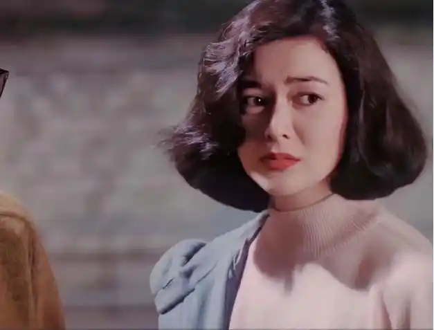 57岁关之琳简介(富豪收割机关之琳)(14)