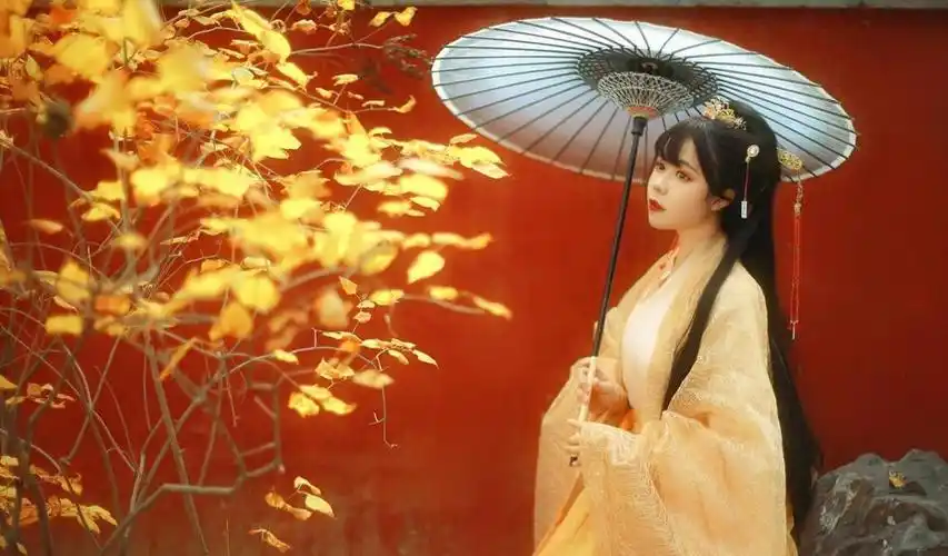 抖音上比较火的古装女子照片电脑桌面壁纸是qq壁纸网免费提供好看的