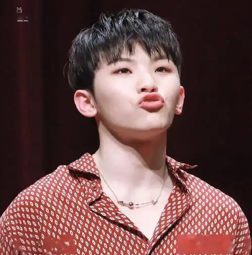 微信头像seventeen李知勋