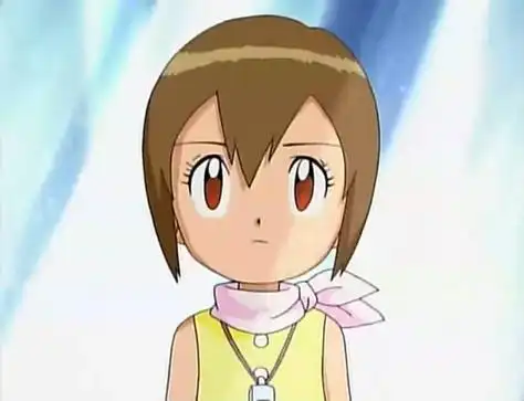 求数码宝贝第一部里八神嘉儿的高清头像