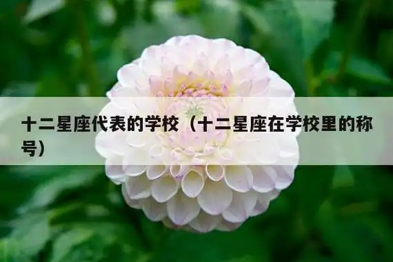 十二星座最适合的大学