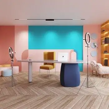 现代网红直播间