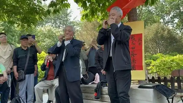 性格迥异却搭档默契,公园"口琴大爷"吹奏快乐晚年乐章