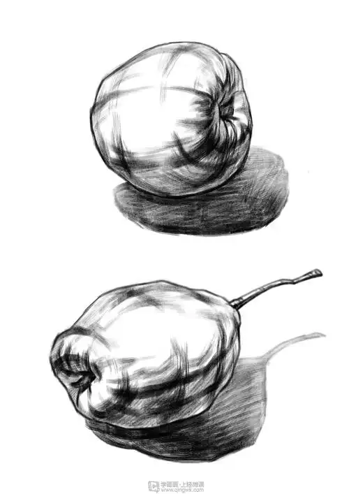 水果临摹素描静物绘制训练