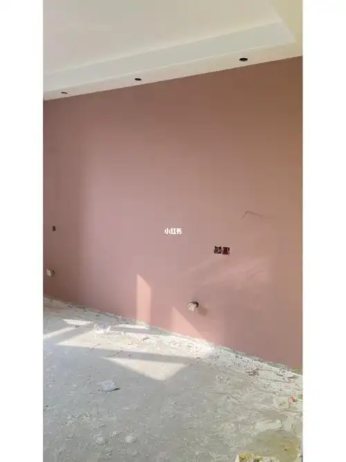 多乐士卧室背景褐珊瑚沙发背景奶茶色