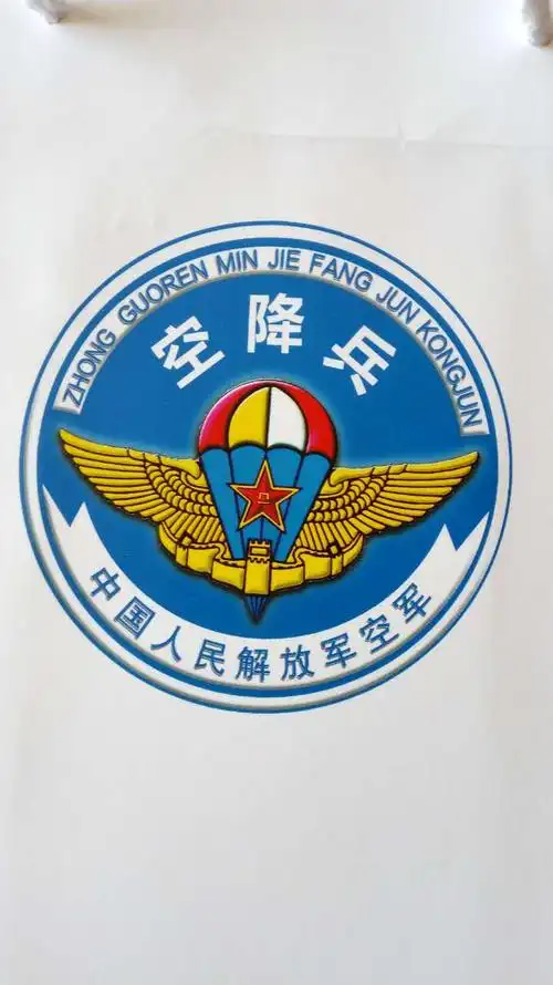 【李泽英战友会之九】空降兵45师135团2(1)炮连黄陂战友聚会掠影