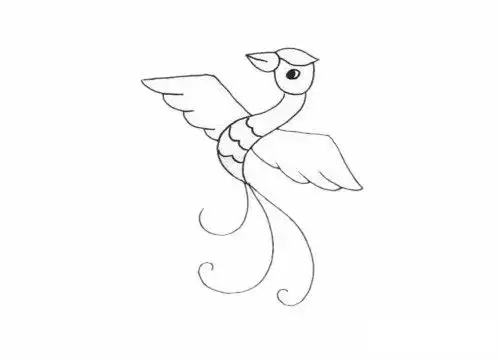凤凰简笔画图片