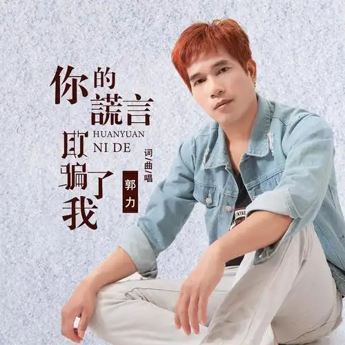 郭力你的谎言欺骗了我dj伟伟版