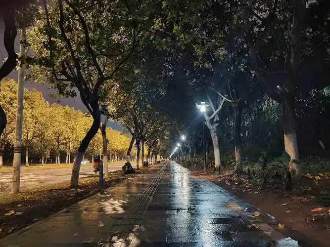 雨后深夜