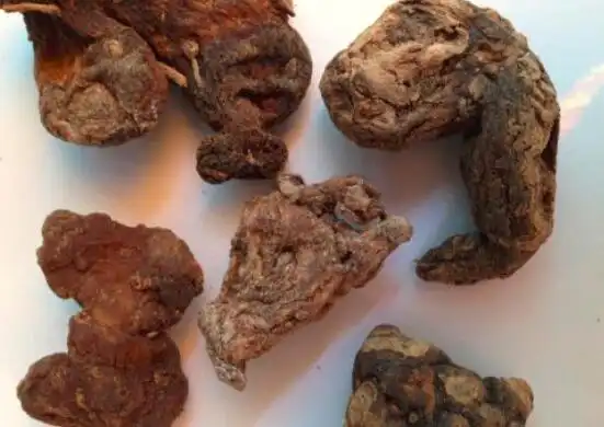 黄精泡茶的功效与作用(黄精和什么泡水喝最好)