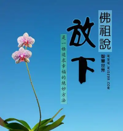 佛祖说放下放下是达至幸福的绝妙方法