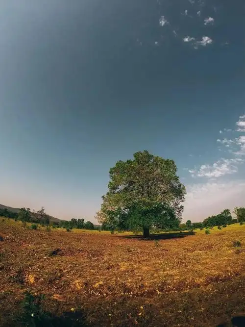 将风景照片素材拖进ps中,复制多次背景图层,得到背景副本,背景副本1和