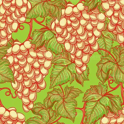 精美葡萄设计矢量素材