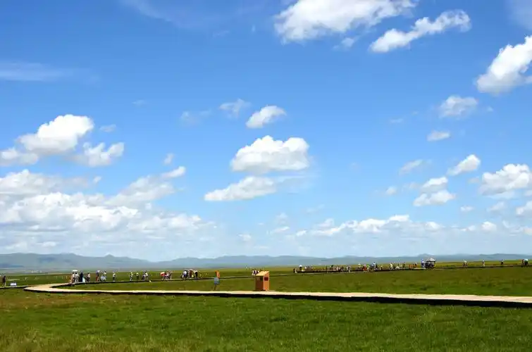 2014年7月若尔盖草原,花湖图片313,四川省旅游景点,风景名胜 - 蚂蜂窝