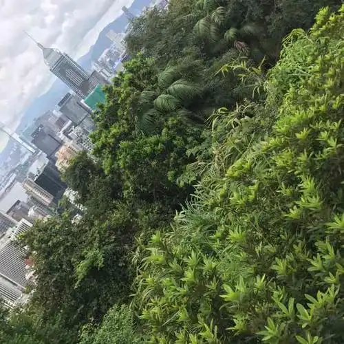 司徒拔道观景台-"司徒拔道观景台,会当凌绝顶,一览众山小的.