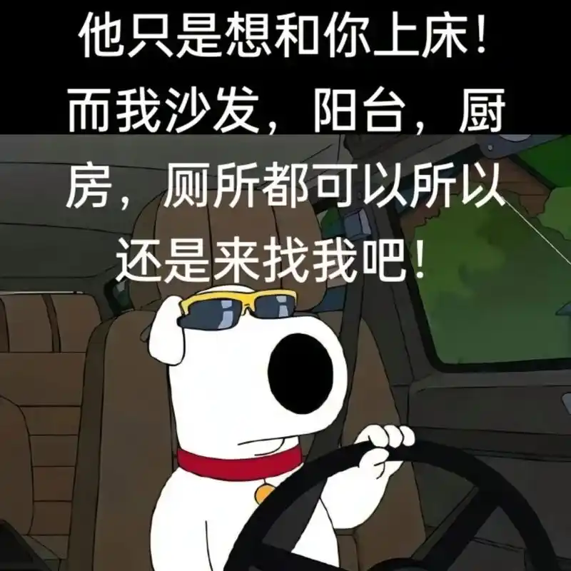 他只是想和你上床,而我沙发,阳台,厨房,厕所都可以,所以还是来找我吧!