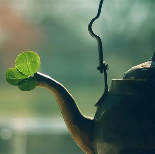 做个内心安静的人