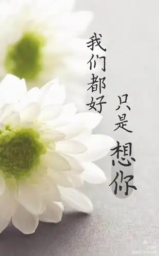 时光匆匆而过,愿天堂的妈妈一切安好