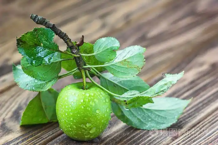 水滴和叶子在木桌上,在选择性焦点宏成熟的青苹果照片-正版商用图片1q