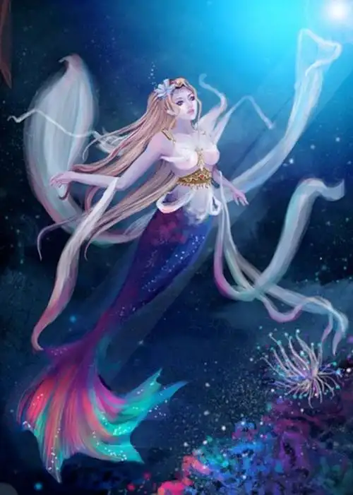 美人鱼 动漫 卡通