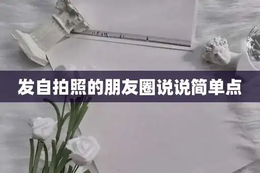 发自拍照的朋友圈说说简单点