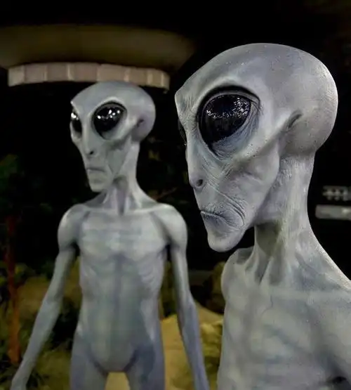 见过外星人的,有真实实物的能发个看看吗?不懂事的小孩走远!