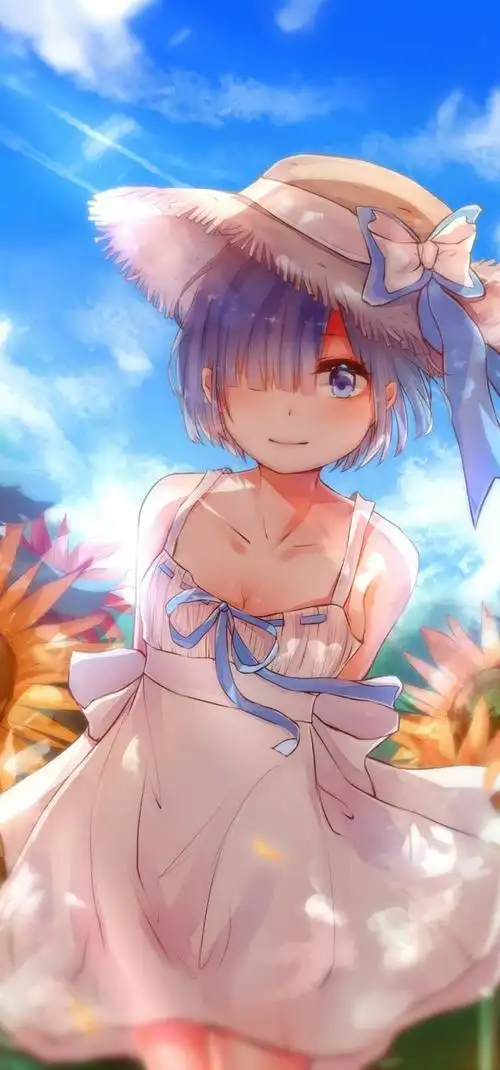 蕾姆精美壁纸分享