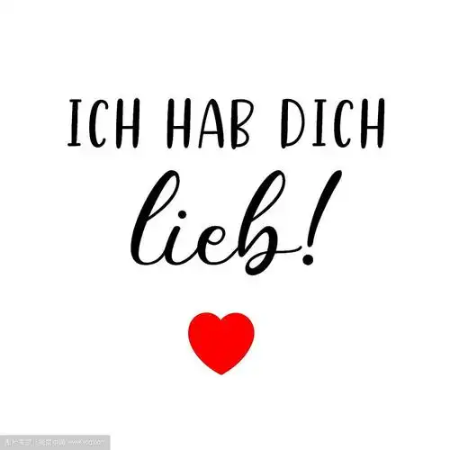 手绘ich hab dich lieb德语引用,意思是我爱你.浪漫主义书法短语.