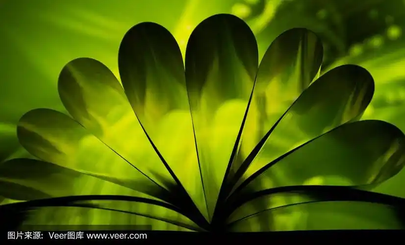 自然,荷兰,水平画幅,绿色,静物