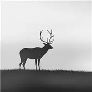 森系鹿头像图片大全