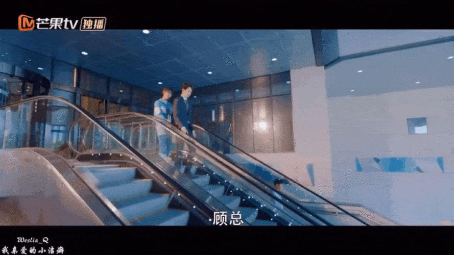 扶梯上最好还是站稳扶好吧!嬉笑打闹可是没啥公德心呢.