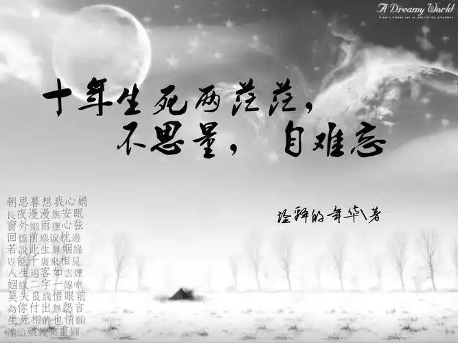 我想要一个小说封面,要唯美,简单,悲伤.