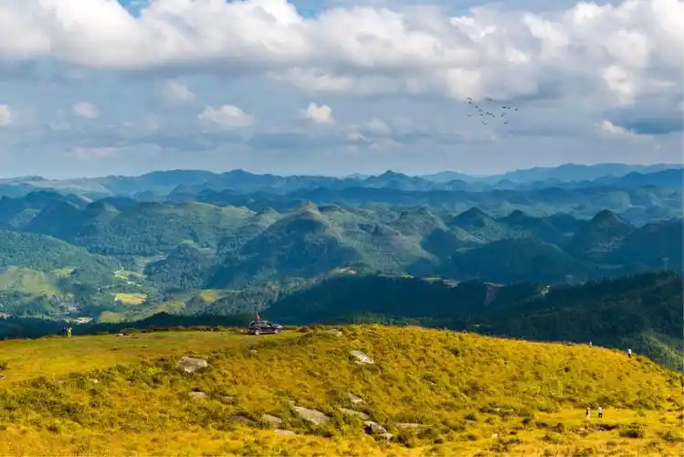 高坡—云顶草原