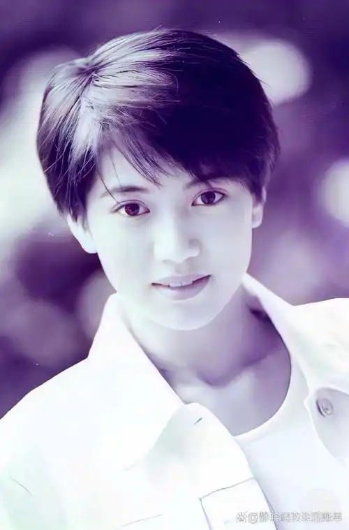 袁咏仪年老时,短发飘逸,美丽动人.