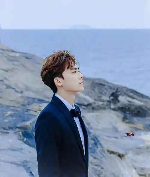 娱乐圈侧颜天花板:鹿晗肖战精致,成毅惊艳,龚俊五官太突出_帅哥