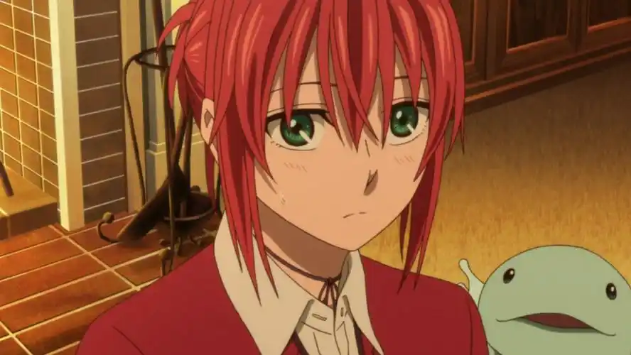 魔法使的新娘羽鸟智世