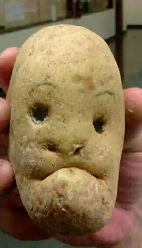 送你几张不正经照片,专治不爱笑的人!