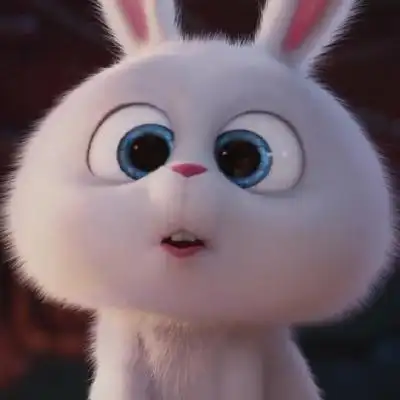 邪恶的小白兔搞怪表情,动物头像图片-回车桌面