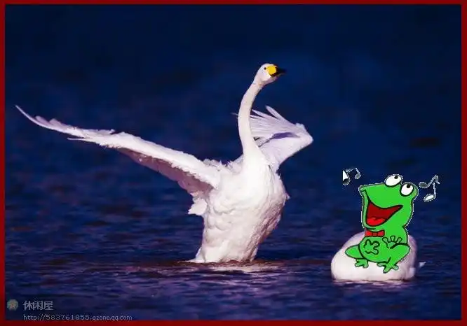 蛤蟆爱上天鹅