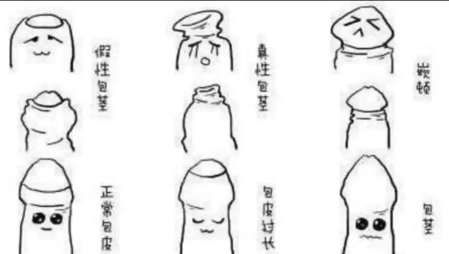 "包皮过长"到底"需不需要割"?