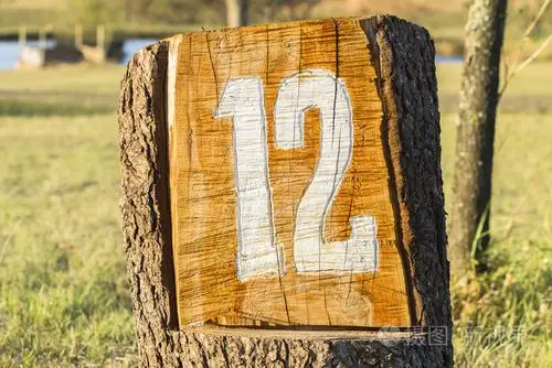 数字十二 12 标志日志