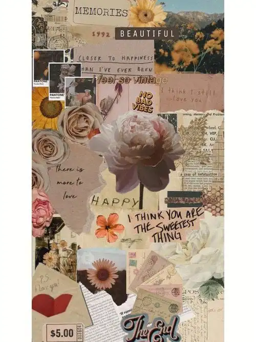 壁纸  #手机壁纸  #壁纸ins复古  #复古  #怀旧  #拼贴