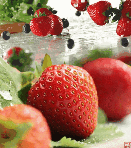 【华中友会】水果大咖来啦(文末有福利)