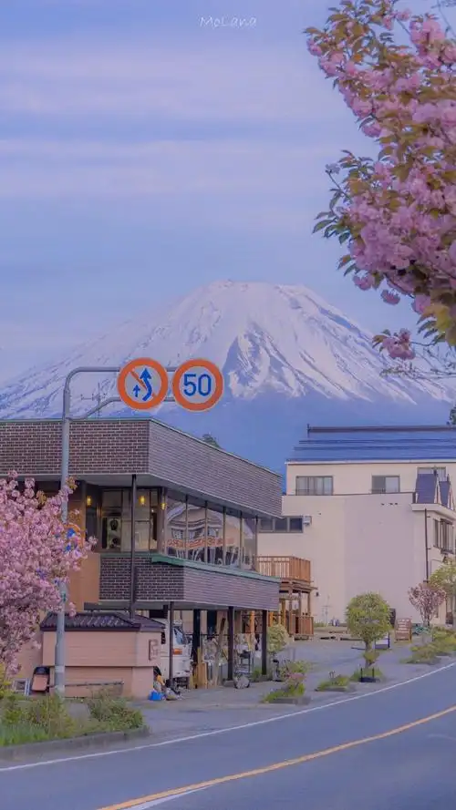 日本富士山高清壁纸  作者见水印  玫瑰/樱花/雪山/美景/街道  #富士