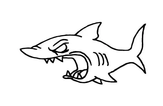 恐怖鲨鱼动物简笔画步骤图片大全儿童画绘画吧-画画